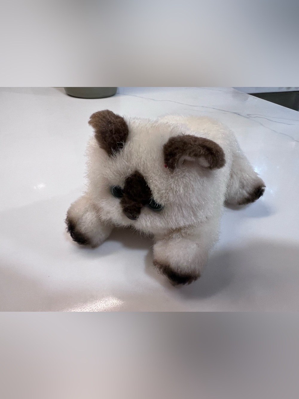 American Girl Doll Pet Kitty Cat Himalayan Poseable Kitten Plush Retired 2014